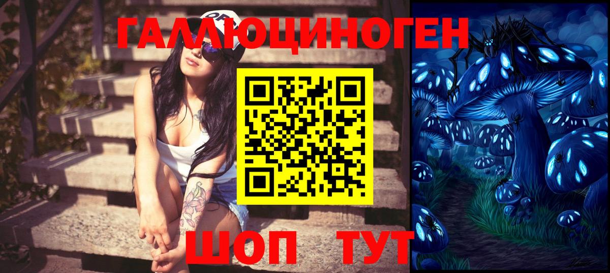 Щёкино  Галлюциногенные грибы GOLDEN TEACHER  Вход с VPN 