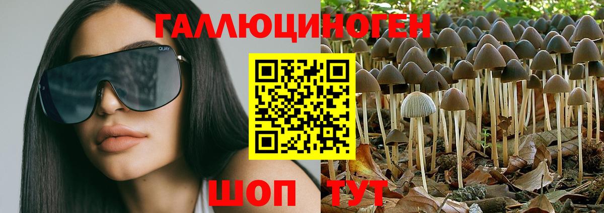 Галлюциногенные грибы MAGIC MUSHROOMS Щёкино