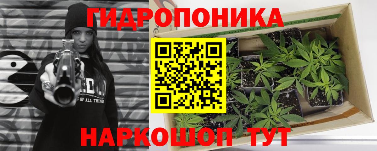 Шишки марихуана OG Kush Щёкино
