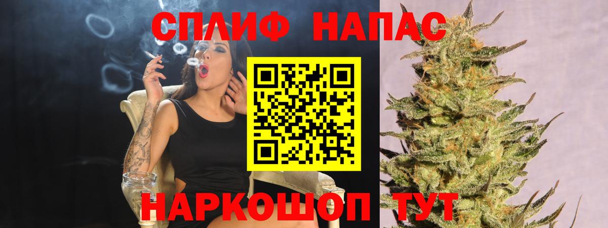 Бошки марихуана планчик  Канабис гибрид  Щёкино  Конопля OG Kush  Вход с VPN 